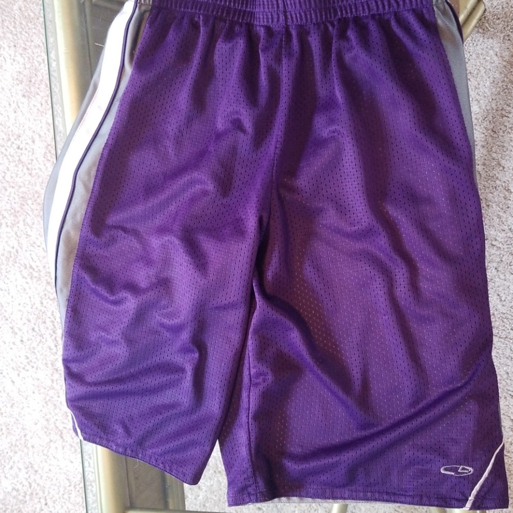 Champion purple and grey shorts